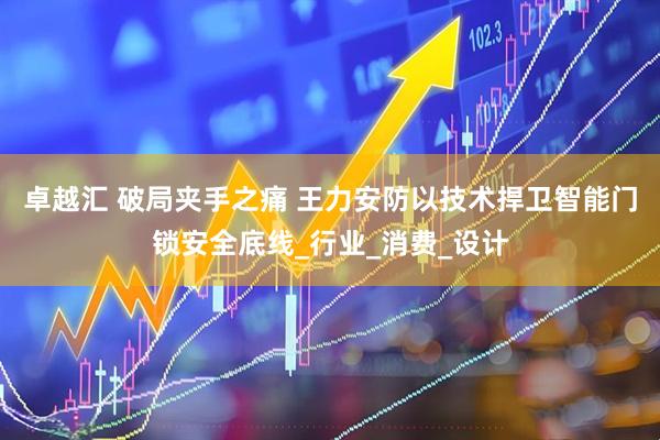 卓越汇 破局夹手之痛 王力安防以技术捍卫智能门锁安全底线_行业_消费_设计