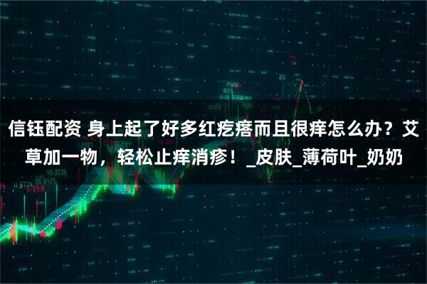 信钰配资 身上起了好多红疙瘩而且很痒怎么办？艾草加一物，轻松止痒消疹！_皮肤_薄荷叶_奶奶