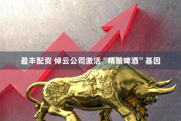 盈丰配资 倬云公司激活“精酿啤酒”基因